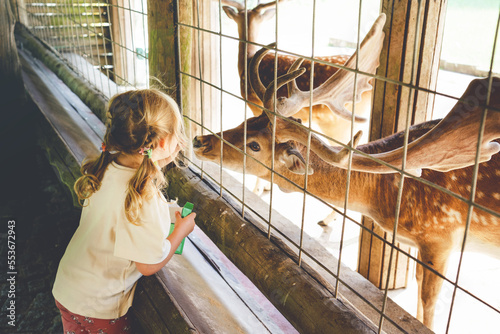 Adorable cute preschool girl feeding little wild deer in a wild animal forest park. Happy child petting animals on summer day. Excited and happy girl on family weekend, children activity in summer.