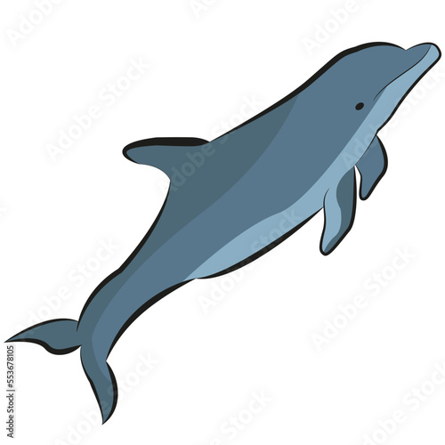 Dolphin on a white background. Isolated vector illustration