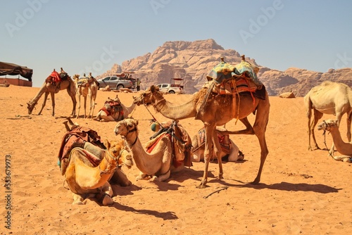 Wadi Rum © Jaroslava