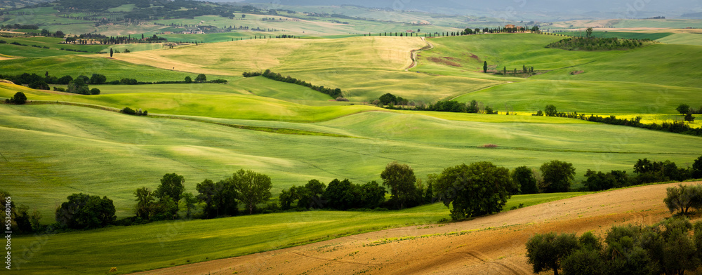 the beautiful and stunning landscape of the Tuscany valleys and hill with its meadows, trees and fields 