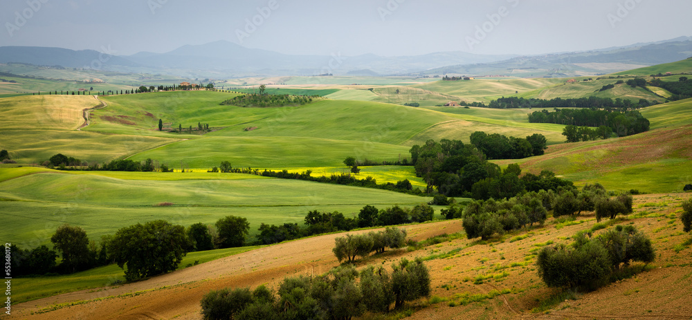 Fototapeta premium the beautiful and stunning landscape of the Tuscany valleys and hill with its meadows, trees and fields 
