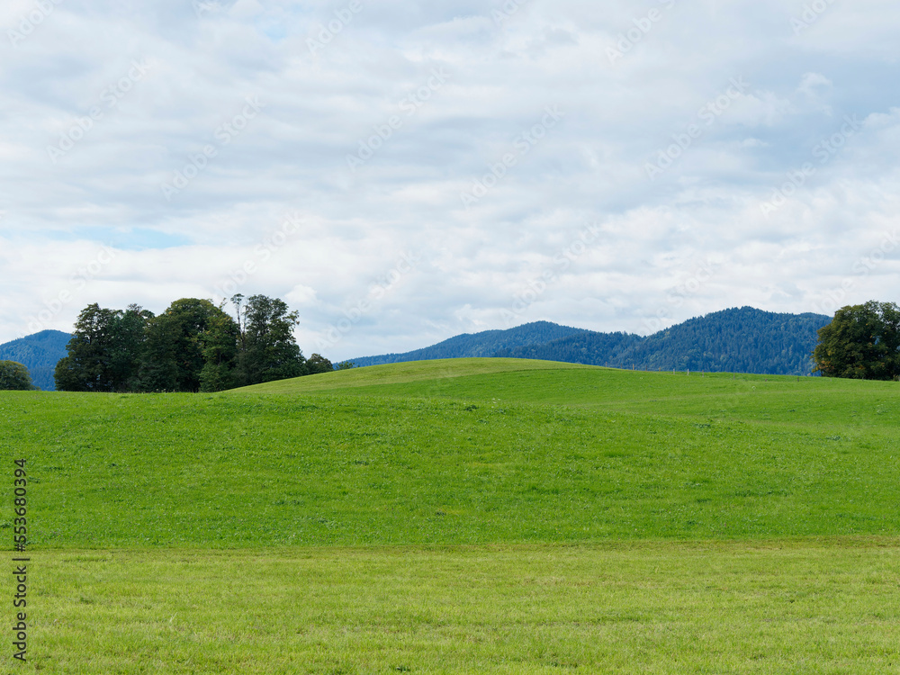 Gmund am Tegernsee am Nordufer des Sees - Wandern zwischen Grüne hügel- und wiesenlandschaft vom Seeglas, Gasse und Niemandsbichl mit blick auf die alpengipfel 