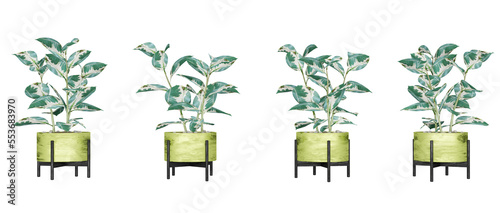 Set of decorative plants for flyer catalogs, triptychs, etc.