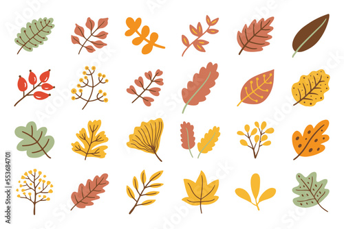autumn leaves flower decoration element