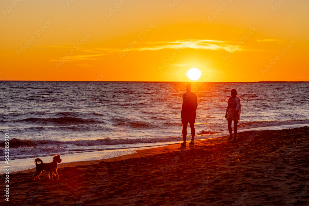 a couple with a dog during an evening walk on the beach a couple with a dog during an evening walk on the beach