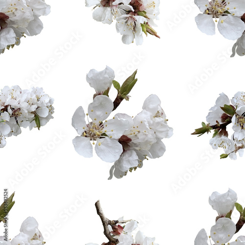 Seamless pattern of apricot blossom branch for celebration design on white background.. Beautiful floral background. Isolated flowers. Seamless floral pattern for fabric, textile, wrapping paper.