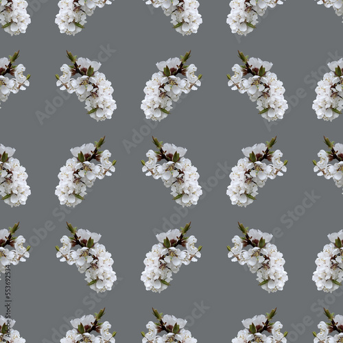 Seamless pattern of apricot blossom branch for celebration design on grey background.. Beautiful floral background. Isolated flowers. Seamless floral pattern for fabric, textile, wrapping paper.