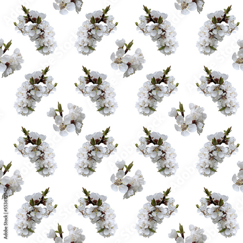 Seamless pattern of apricot blossom branch for celebration design on white background.. Beautiful floral background. Isolated flowers. Seamless floral pattern for fabric, textile, wrapping paper.