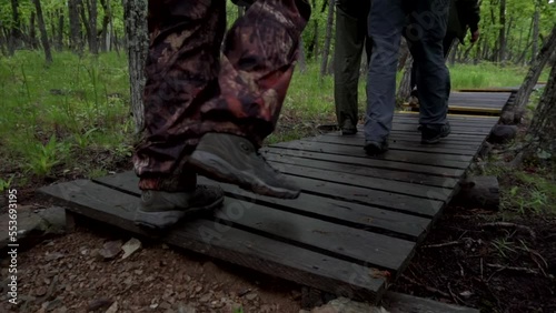 Summer, 2019 - Primorsky region, Russia - Sikhote-Alin Reserve. Tourists walk along the wooden deck of the ecological path in the taiga. Close-up. photo