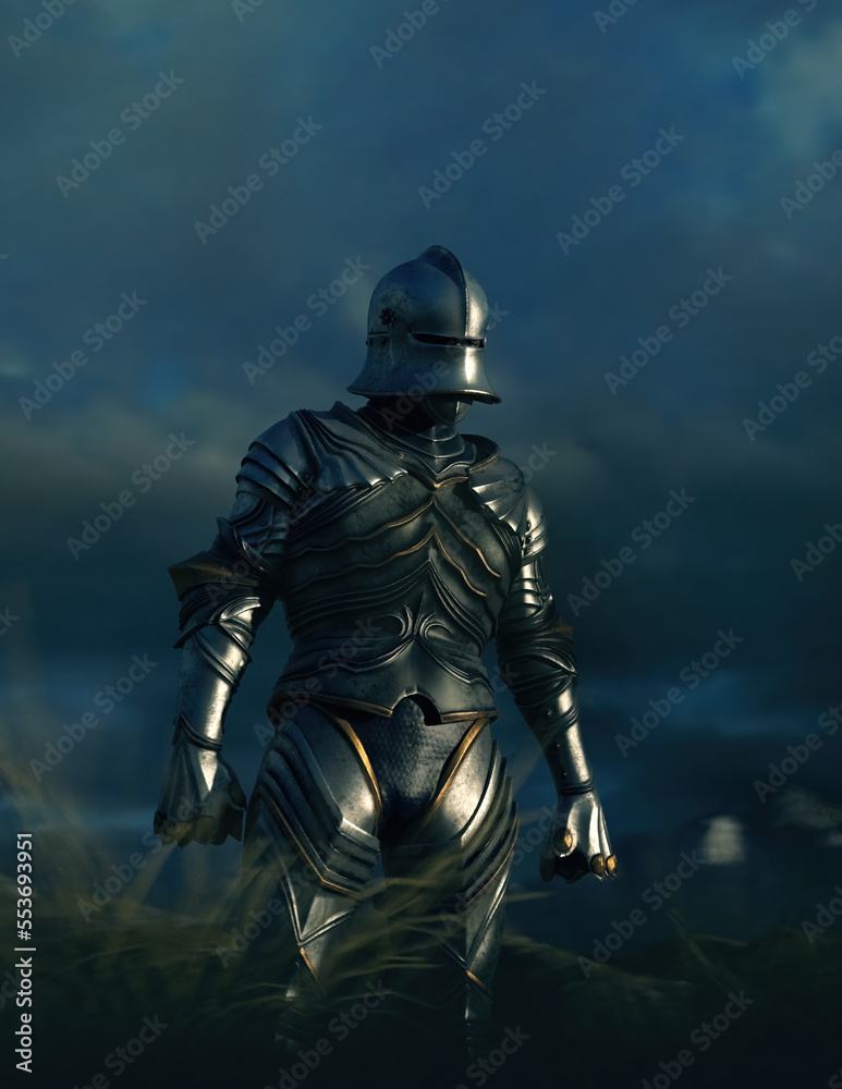 Historic knight stands between tall grass in highlands under a cloudy sky. 3D render. Historic knight stands between tall grass in highlands under a cloudy sky. 3D render.