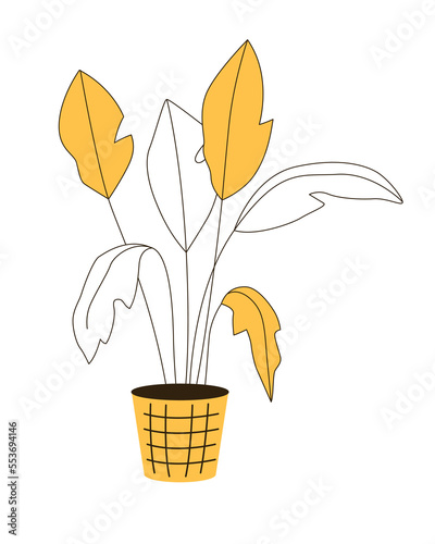 Exotic houseplant in pot flat color linear vector object. Natural home decor. Editable element. Full sized item on white. Cartoon style thin line illustration for web graphic design and animation