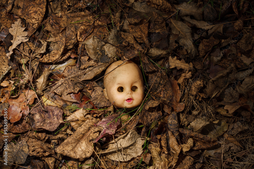 Doll with no head store