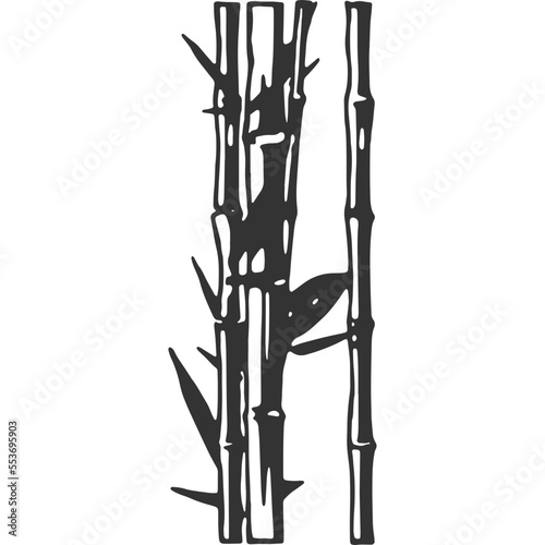 Bamboo Vintage Illustration Vector