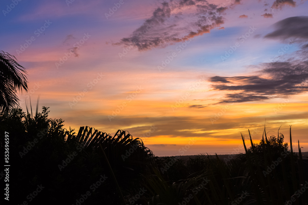 Obraz premium sunset in the field