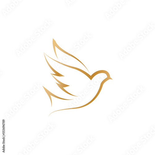 dove of peace symbol with gold lines showing authority.
