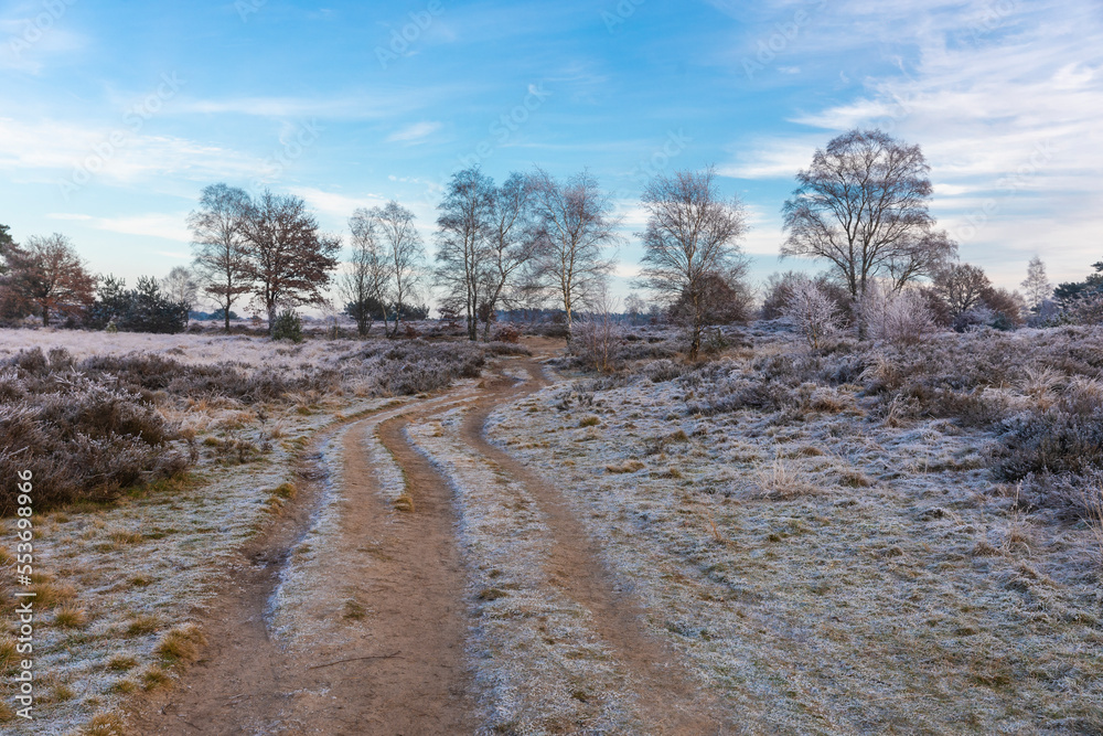 Winter in Gelderland 2022