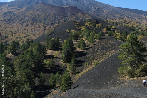 Gli alberi rinascono sulla lava