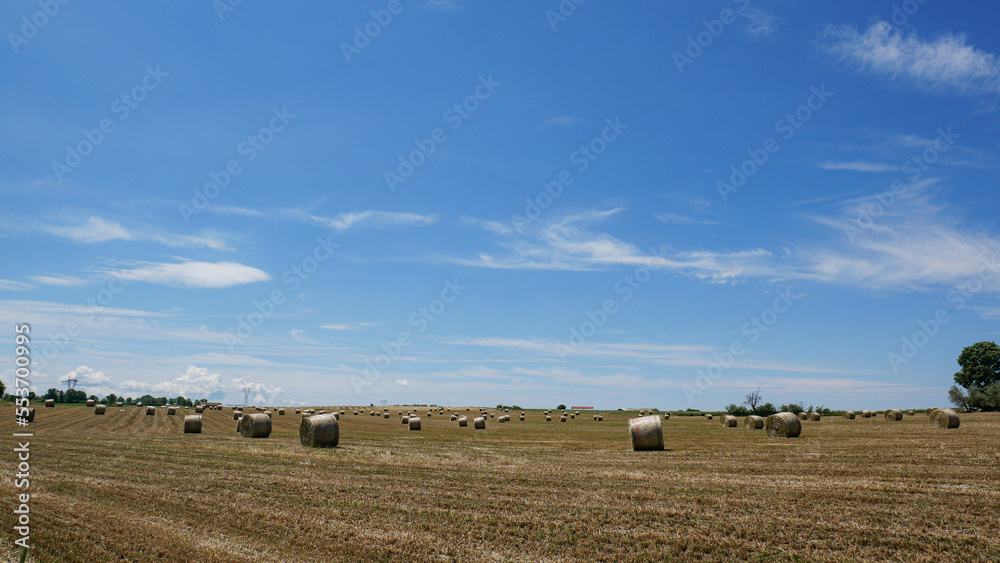 hay balls fields in the countryside