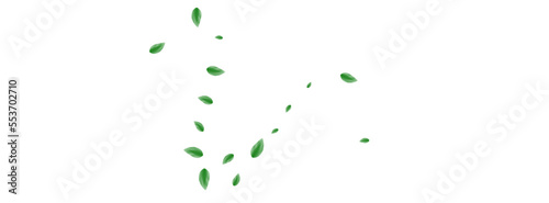 Light Green Vegetation Background White Vector. Sheet Herbarium Frame. Drink Illustration. Greenish Refreshing Card. Plant Set.