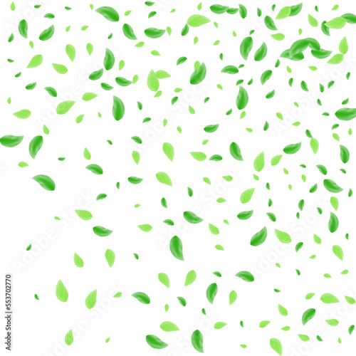 Green Greenery Background White Vector. Leaf Floral Design. Decorative Illustration. Greenish Vibrant Frame. Sheet Herbarium.