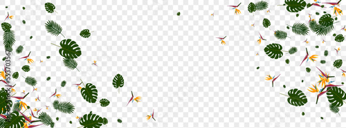 Red Philodendron Background Transparent Vector. Leaf Drawing Design. Green Strelitzia. Fashion Card. Orange Popular Frame.