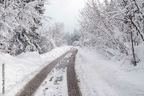 A snowy road in the winter countryside