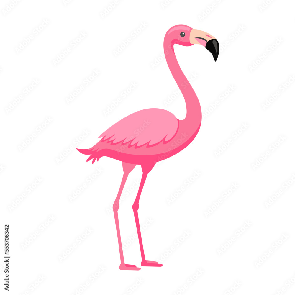 Fototapeta premium Pink flamingo. Bright tropical exotic bird cartoon vector illustration. Summer wildlife, Polynesian fauna isolated on white