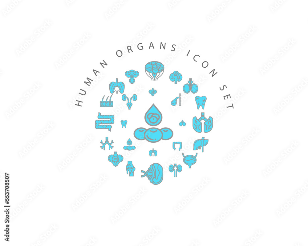 Vector muman organs icon set