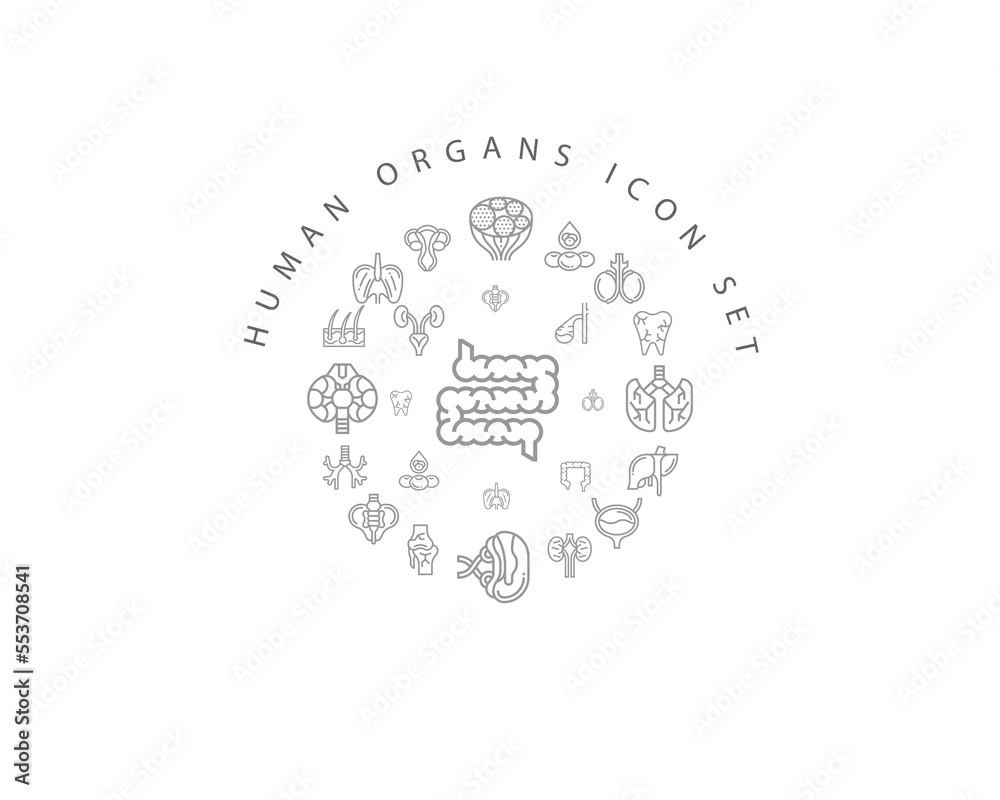 Vector muman organs icon set