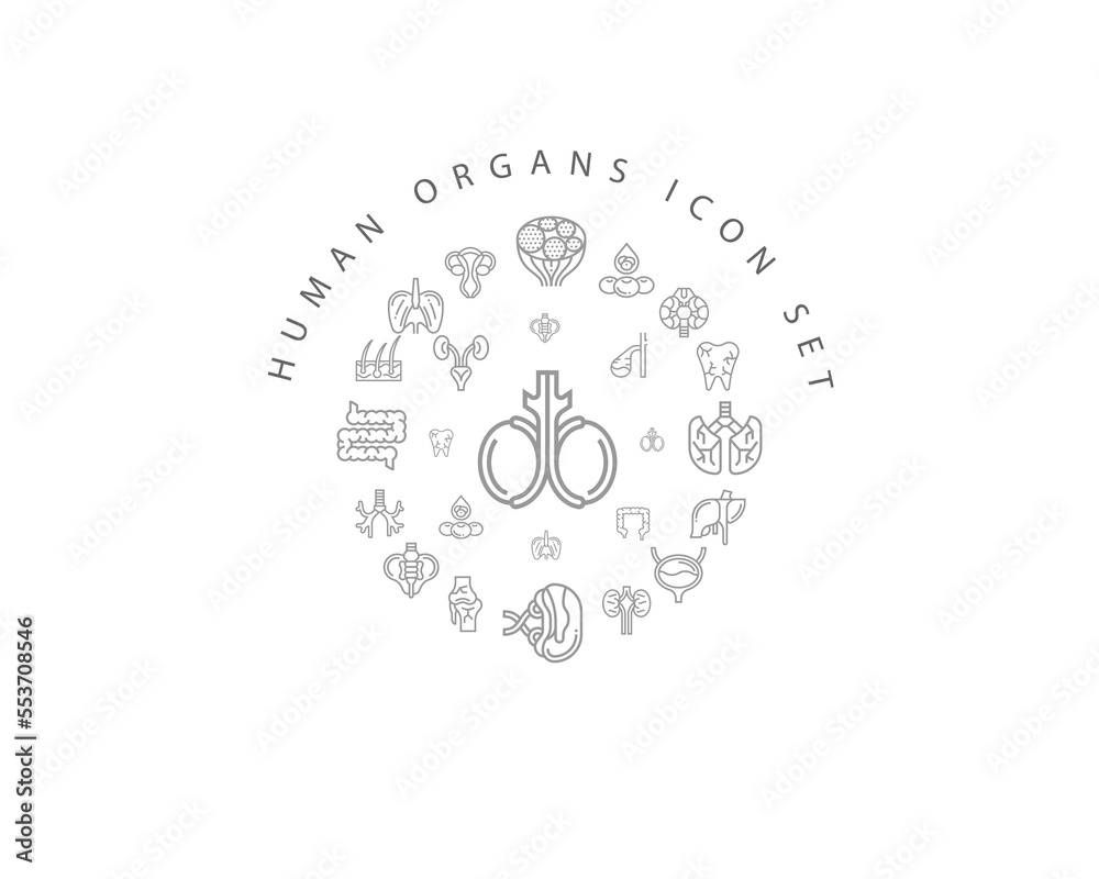 Fototapeta premium Vector muman organs icon set