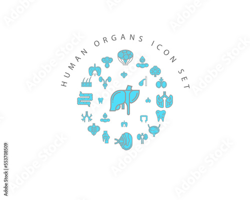 Vector muman organs icon set photo