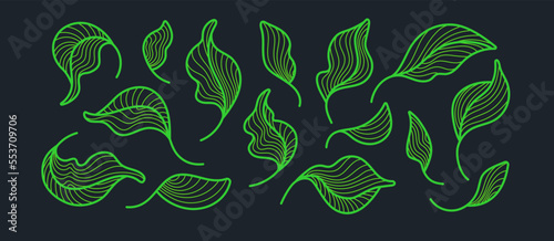 Tea leaves, art set. Graphic line, green foliage