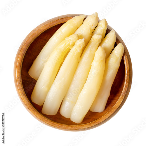 Potted white asparagus tips in a wooden bowl. Group of white, blanched Asparagus officinalis shoots. Spring vegetable with thick stems and closed buds, potted in water and salt, used to refine dishes.