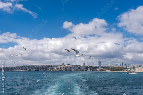 A flock of seagulls flying over Istanbul and the sea on a bright sunny day, beautiful cityscape