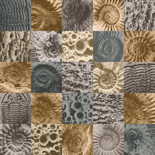 vector abstact seamless pattern background with sea stone texture with imprints of shells of ancient ammonite shells. Suitable for wallpaper design, wrapping paper, fabric, ceramic tiles