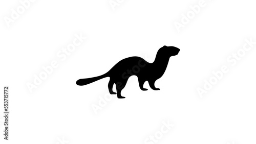 stoat silhouette photo