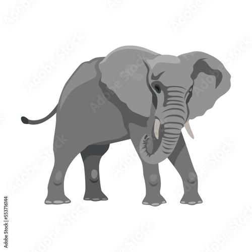 Zoo elephant cartoon illustration. Big African mammal character with large ears and trunk on white background. Animal © PCH.Vector