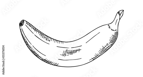 colorless contour image of a banana with hatching, hand drawing