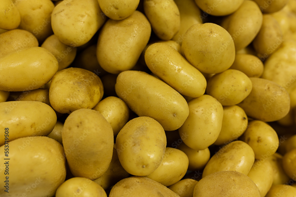 Ziemniak Kartofel Warzywo Obiad Zdrowie - obrazy, fototapety, plakaty 