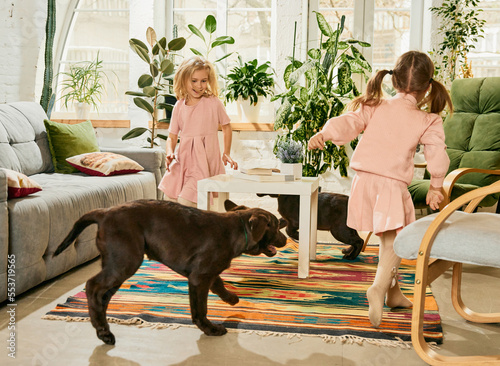 Photography Two lovely little girls, children playing with two purebred dogs, brown labrador