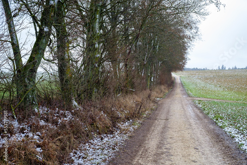 Eisig kalter Feldweg an einer Hecke entlang im Winter