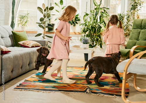 Photography Two lovely little girls, children running with two purebred dogs, brown labrador at home