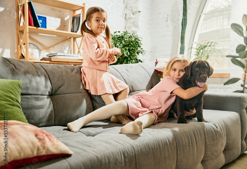 Two lovely little girls, children playing, hugging purebred dog, brown labrador at home. Having fun