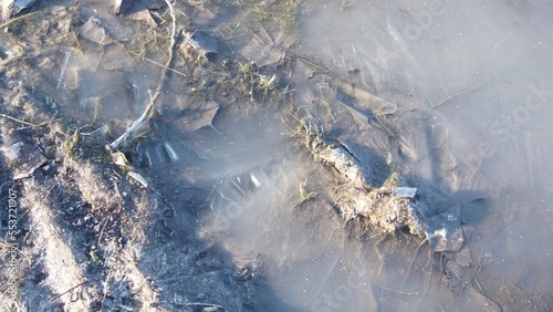 Frozen puddle, dirt