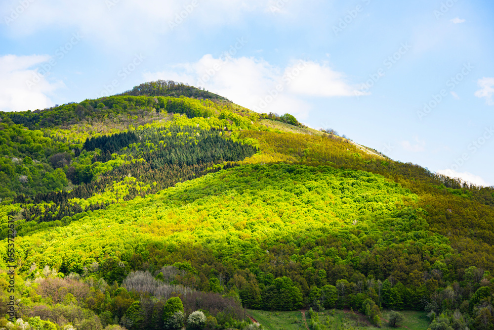 Obraz premium Trascau mountains landscape with vivid green foliage, Apuseni Mountains, Romania