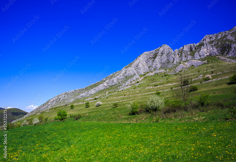 Green slopes of Piatra Secuiului (Szekelyko) Mountain in the Romanian Carpathians, Rimetea village, Alba County, Romania.
