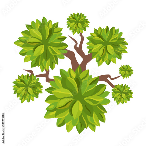 Top view of tree and bush vector illustration. Landscape element for garden, park or forest, plant isolated on white