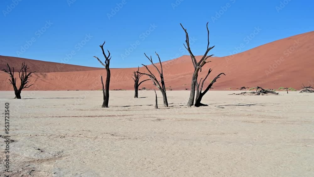 Stunning view of dead camelthorn trees in Deadvlei in Namibia Stunning view of dead camelthorn trees in Deadvlei in Namibia