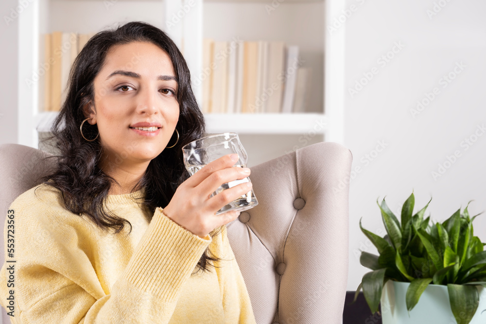 Healthy lifestyle concept, caucasian beautiful millennial woman healthy lifestyle concept. Long brown hair girl sitting on armchair at home holding glass of fresh clean water. Looking camera smiling. Healthy lifestyle concept, caucasian beautiful millennial woman healthy lifestyle concept. Long brown hair girl sitting on armchair at home holding glass of fresh clean water. Looking camera smiling.