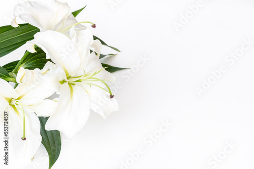 Branch of white lilies as symbol of the funeral. Mourning concept © 9dreamstudio